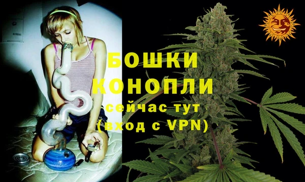 спиды Медногорск