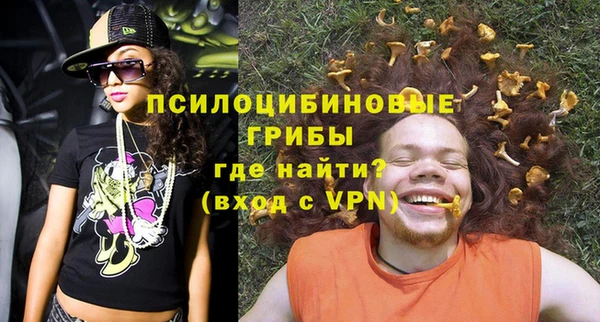 не бодяженный Великий Новгород