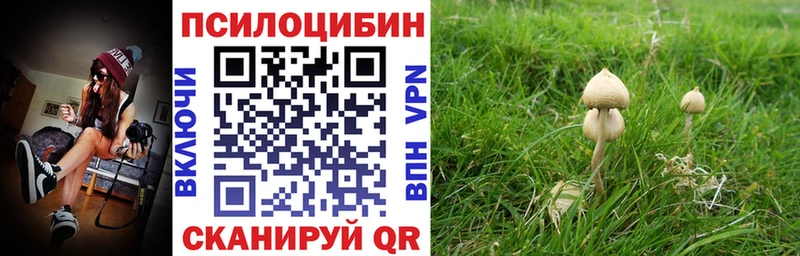 хочу наркоту  Черняховск  MEGA сайт  Галлюциногенные грибы мицелий 