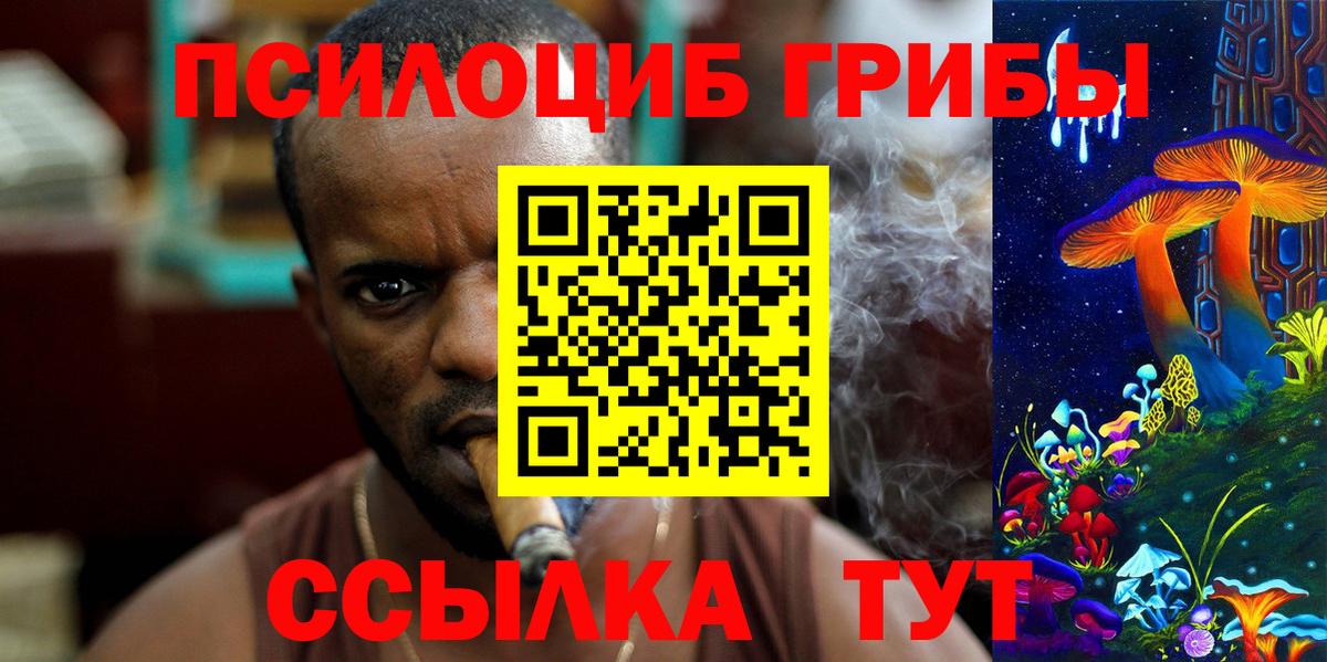 Псилоцибиновые грибы Psilocybine cubensis Черняховск