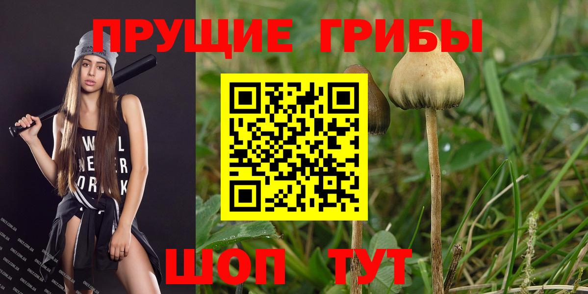 купить наркоту  Галлюциногенные грибы Psilocybe  Вход с VPN  Черняховск  Галлюциногенные грибы ЛСД 
